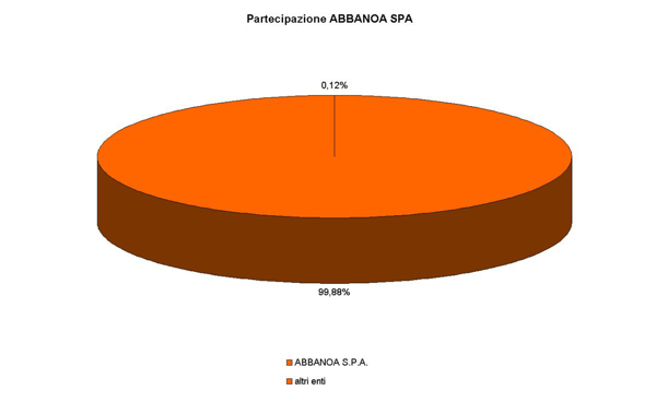 Rappresentazione grafica quota partecipazione del Comune di Guspini